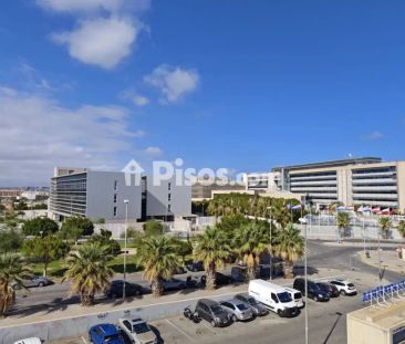 Piso en alquiler en Glorieta del Reino Unido - Foto 2