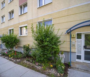 Birkwitzer Weg 5, 01257 Dresden OT Leuben mit Dobritz-Süd - Foto 3