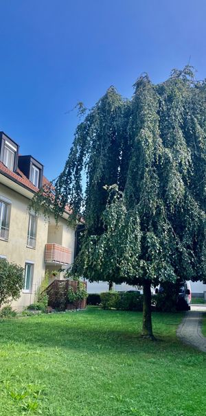 Wohnanlage der LAWOG Kindergartenstr.9/6 4533 Piberbach - Photo 1