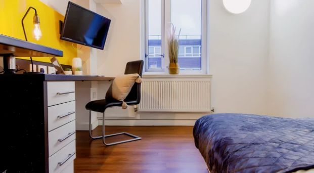 Snug studio close to the Old Market Square - Photo 1