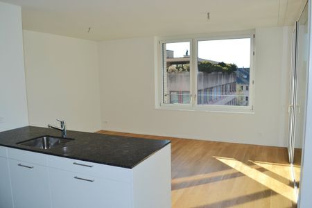 2.5 Zimmer, 51 m², 2. Stock - Foto 3