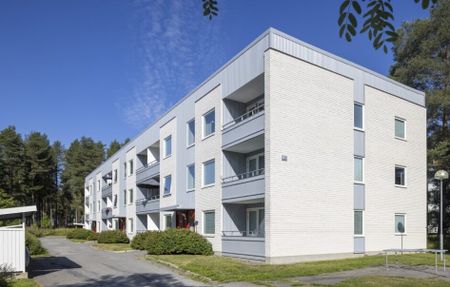 Orkestervägen, Skellefteå - Photo 4