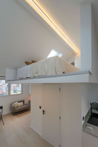 Gerenoveerd dakappartement - Foto 2