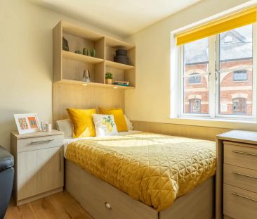 Classic Studio – Limited View - Photo 5