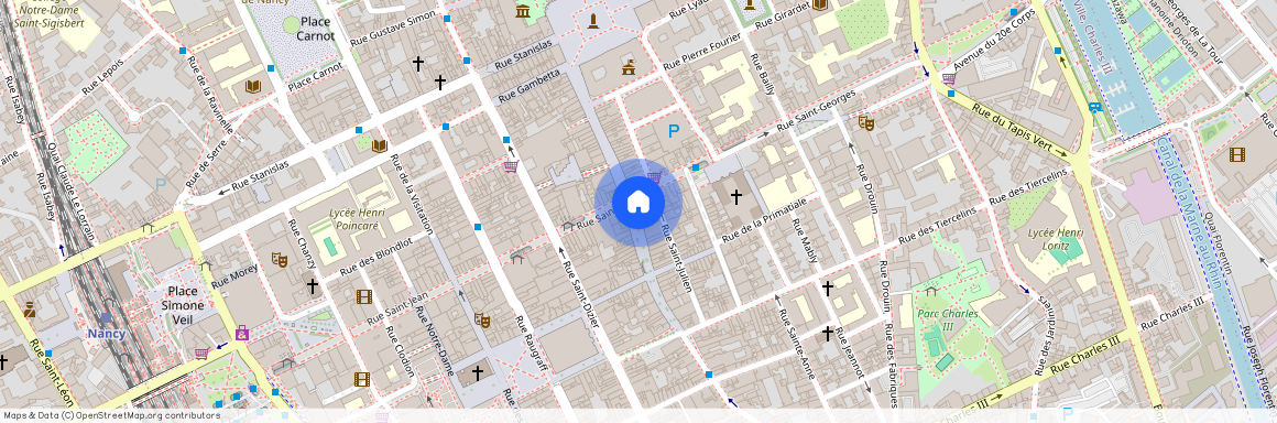 5 RUE DU PONT MOUJA, Charles Iii Nord Tiercelins St-Georges, Nancy