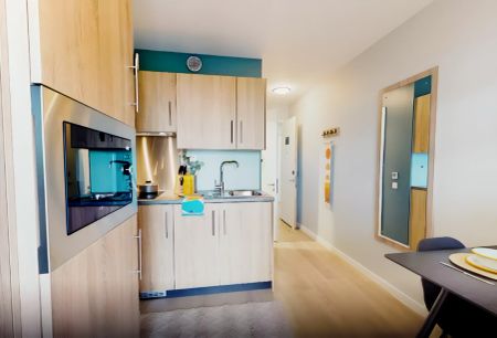 Silver Crtyrd Studio Plus - Photo 4