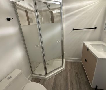 For Lease - 60 Lund Street Unit# Basement, Richmond Hill, Ontario - Photo 5