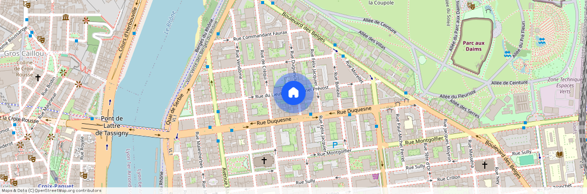 26 RUE DUGUESCLIN, LYON 6EME ARRONDISSEMENT l'Helvetie