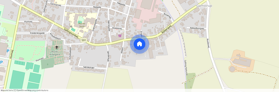 Rybjergvej 12 A, 7870, Roslev