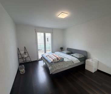 2.5 Zimmer, EG - Photo 4