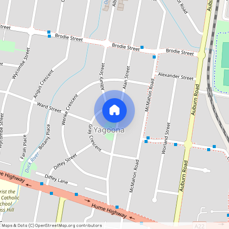 1B Grays Avenue, NSW 2199, Yagoona