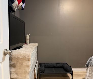 For Lease - 5 America Avenue Unit# Basement, Vaughan, Ontario - Photo 3