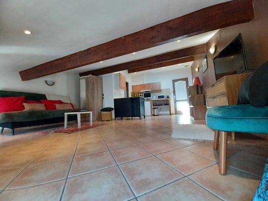 Location Appartement 1 pièce 25m² LEZIGNAN CORBIERES 11200 - Photo 1