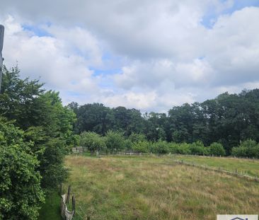 Bünde-### Erdgeschoss-Wohnung mit Terrasse ### - Photo 4