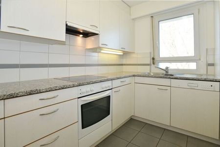 Lake Greifensee within reach - Photo 3