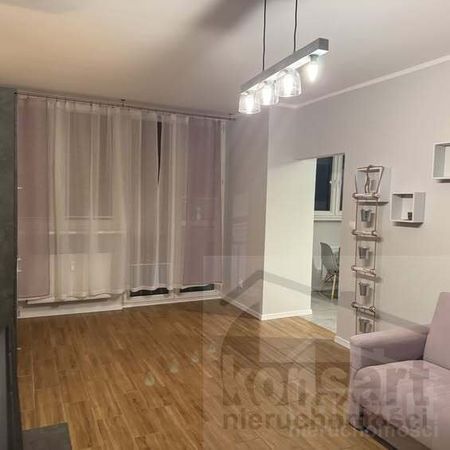 Stare Miasto ustawna kawalerka 44 m2 ,piwnica ! - Photo 2