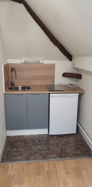 Location Appartement 1 pièce 17m² ST JEAN LE BLANC 45650 - Photo 1