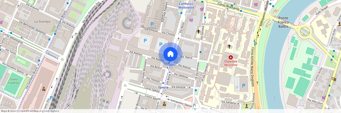 Via Nizza, Turin, Piedmont 10126