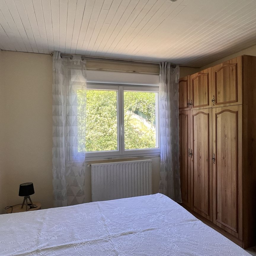 Location Appartement 1 pièce 25m² LA MOTTE SERVOLEX 73290 - Photo 1
