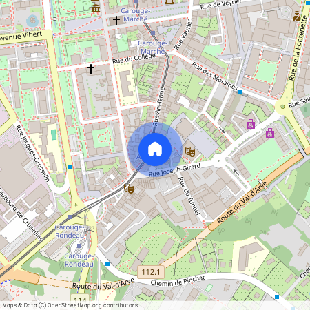 1227, Carouge GE, Rue Ancienne, 43