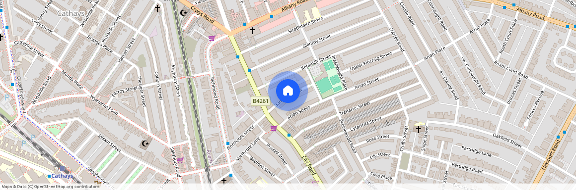 Kincraig Street, Cardiff(City), CF24