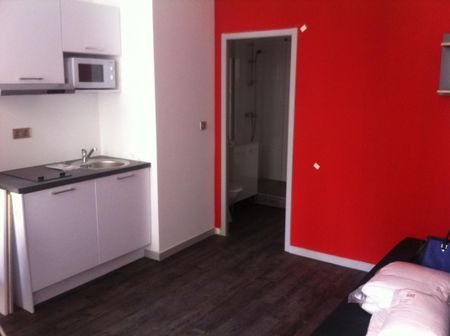 Location Appartement 1 pièce 22m² ECULLY 69130 - Photo 4
