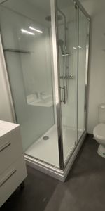 Location Appartement 1 pièce 29m² LIMOGES 87000 - Photo 3