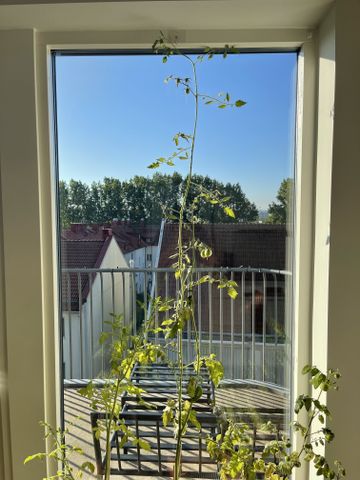 Hisingsgatan, Göteborg - Photo 5