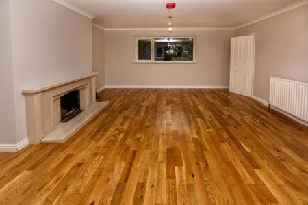 75 Hillside Road, Ballynahinch, BT24 8UL - Photo 5