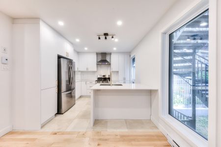 Appartement à louer, Montréal (Rosemont/La Petite-Patrie) - Photo 3