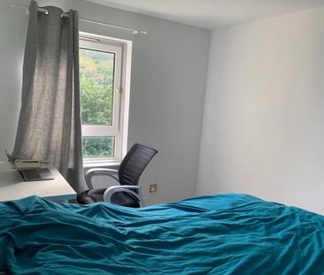 1 Bed Flat, Viewcraig Gardens, EH8 - Photo 5