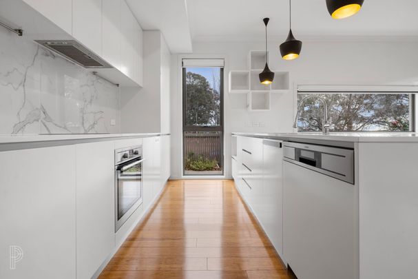 1/30 Aurora Close, Mawson ACT 2607 - House For Rent | Domain - Photo 1