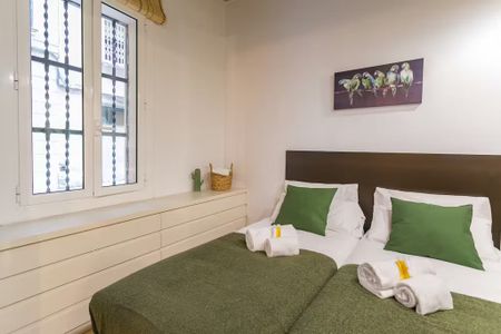 Carrer del Baluard, Barcelona, Catalonia 08003 - Foto 2