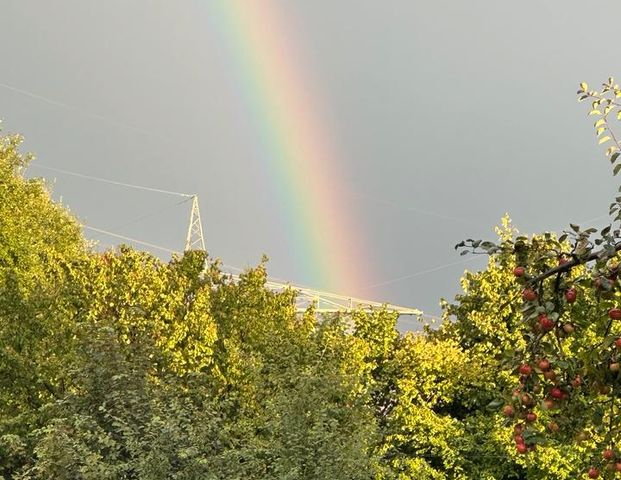 Wohnung zu vermieten - Foto 1