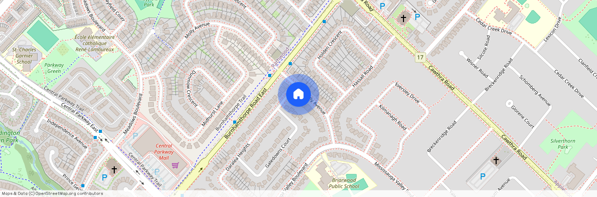 3646 MOLLY AVENUE, Mississauga, Mississauga Valleys