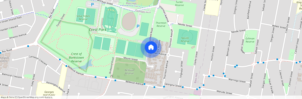 31 Carysfield Road, NSW 2197, Bass Hill