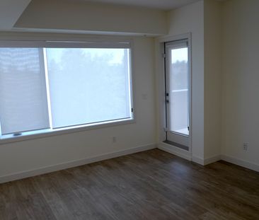 1 Bedroom + Den Condo For Rent In Marda Loop! - Photo 5