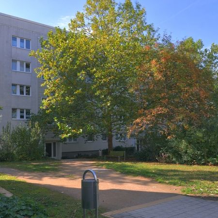 Familienfreundliches Paradies in Halles beliebter Südstadt - Photo 3