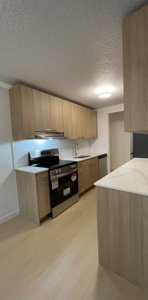 989 Lytton Street - Photo 1