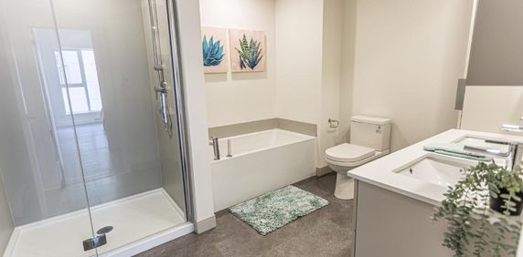 RIEN À PAYER AVANT LE 1ER JUIN - Le Wow à Sainte-Foy Québec - Condo / appartement / logement à louer - Photo 2