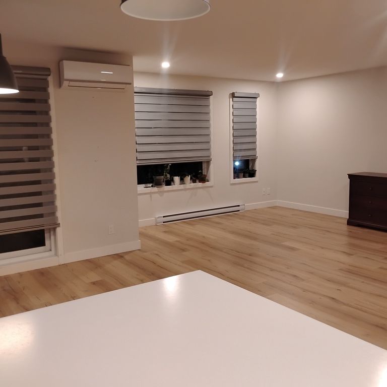 GRAND 4 1/2 MODERNE À ST-NICOLAS - Photo 1