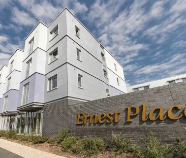 Deluxe Studio - Photo 6