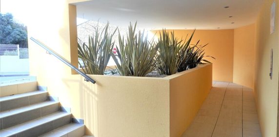 Location Appartement 2 pièces 50m² COGOLIN 83310 - Photo 2