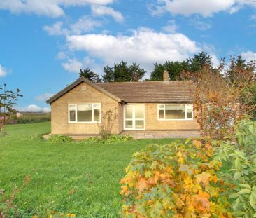 3 bedroom detached bungalow to rent - Photo 3