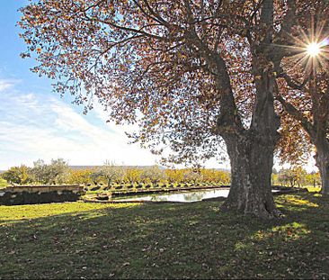 LUBERON - LAURIS: DOMAINE LA CARRAIRE: Demeure d'Hôtes en Luberon - Photo 1