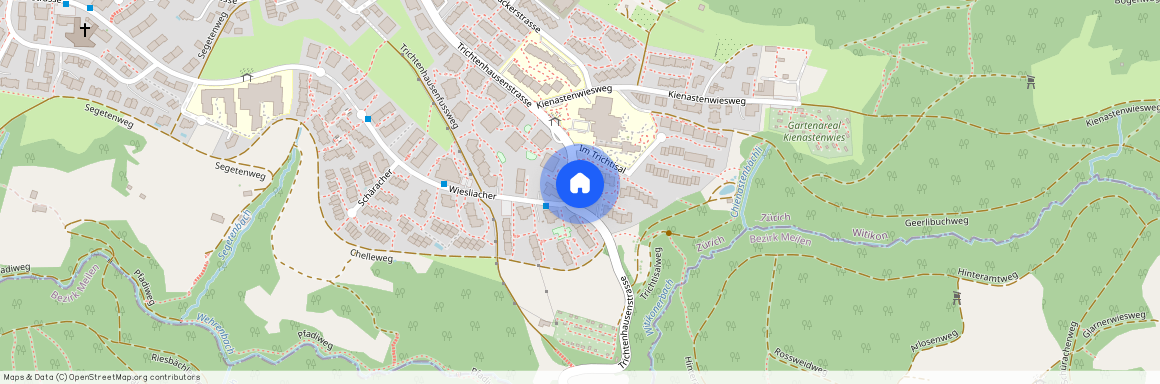 Trichtenhausenstrasse 129, 8053 Zürich