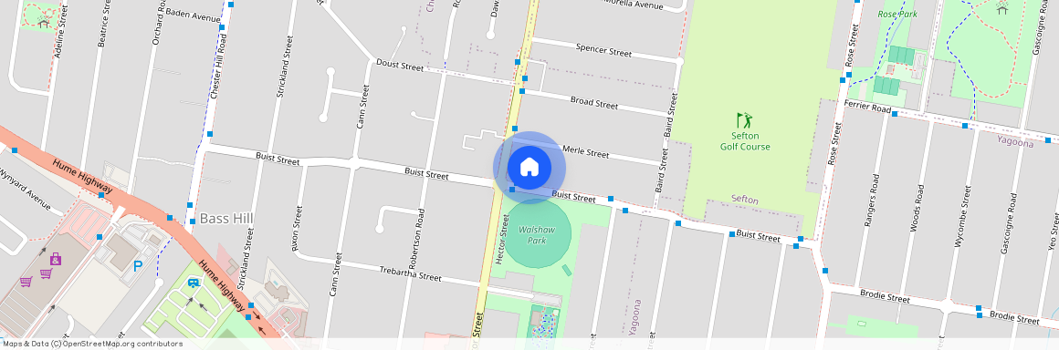 1/82 Buist Street, Bass Hill, NSW 2197