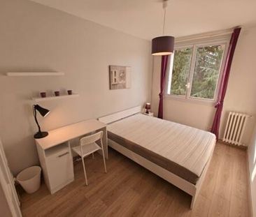 Colocation à 3 meublée proche centre - Photo 3