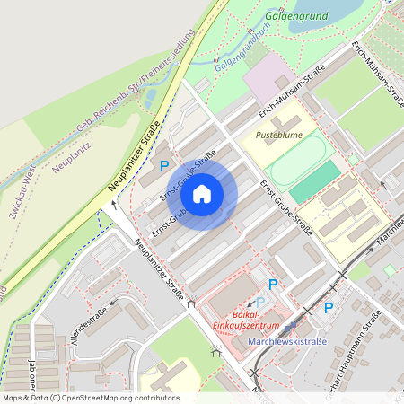 E.-Grube-Str. 177, Neuplanitz, 08062, Zwickau