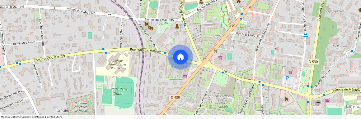 5 RUE FRANCOIS MERMET, ALLEE H, TASSIN LA DEMI LUNE La-Raude